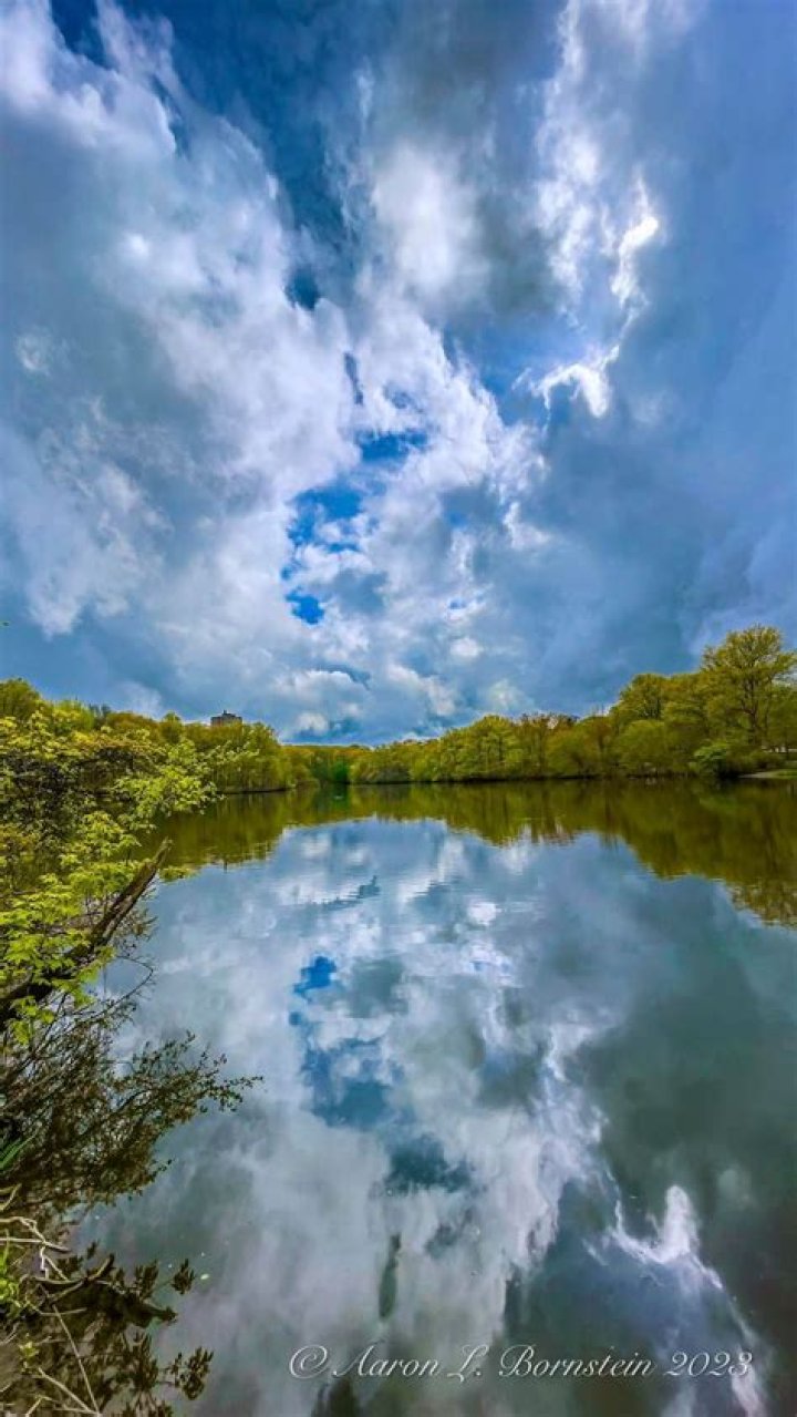 Aaron Bornstein – Phoenix, AZ