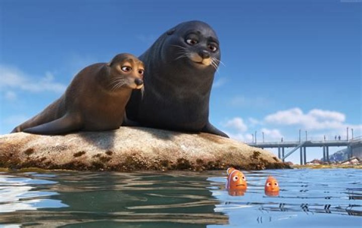 Are there seals in Finding Dory? – Celebrity