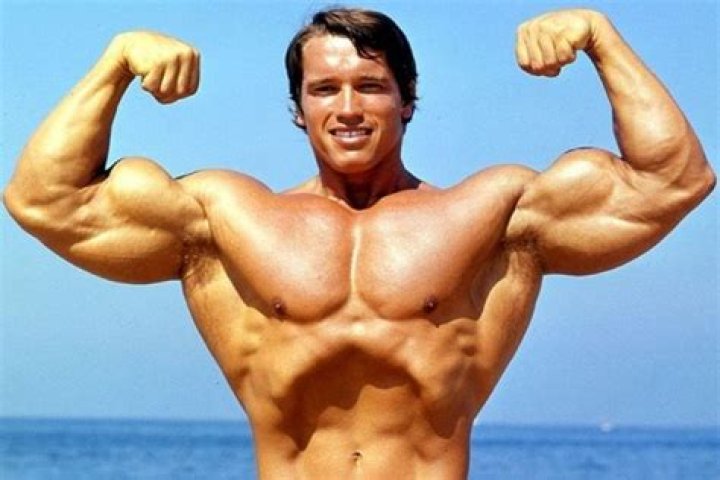 Arnold Schwarzenegger Biography - Facts, Childhood, Family Life & Achievements