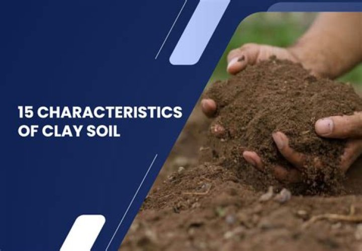 Characteristics of clay soil