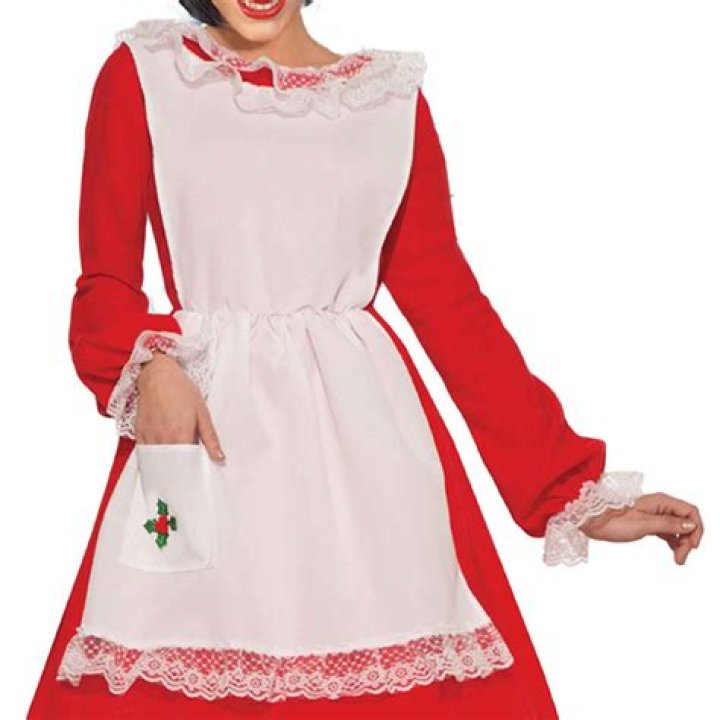 Christmas Mrs. Claus Costume - Adult — Blessed Celebration