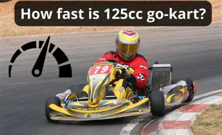 Cole Sprouse : 12 key facts you need to know