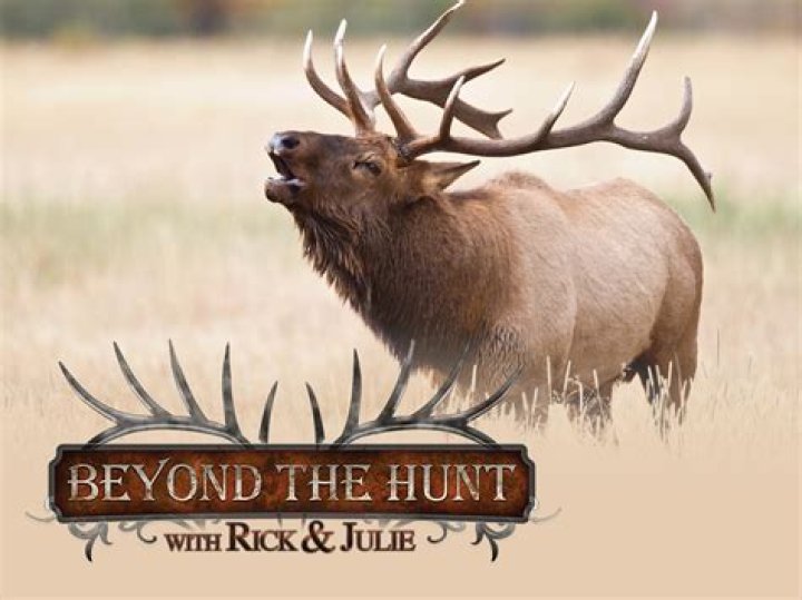 David Hunt & Julie Hunt: Where Are Roger Hunt Children Now? Age Net Worth