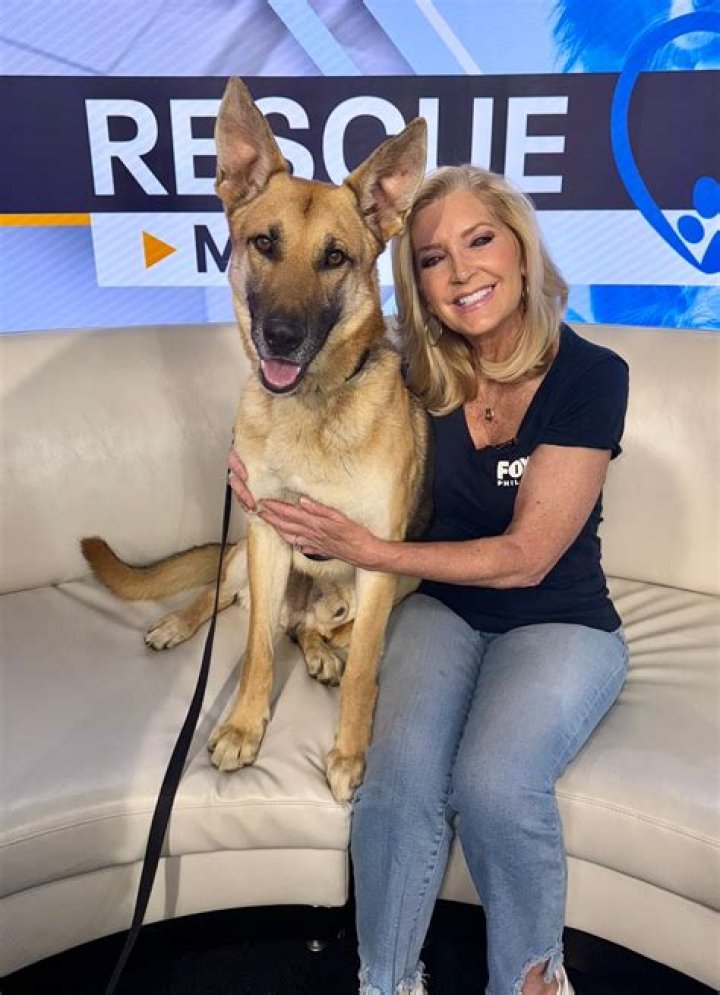 Dawn Timmeney Illness Explained, Is Fox 29 Reporter Sick?