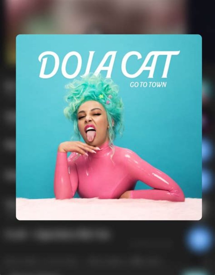 Did Doja Cat drop out of school? Where did Doja Cat go to high school?