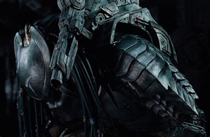 Did Scar have a son? – Celebrity