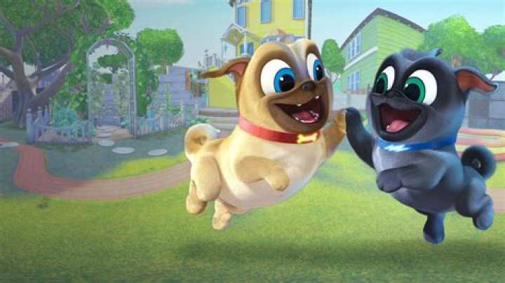 Does Bob from Puppy Dog Pals have a girlfriend? – Celebrity