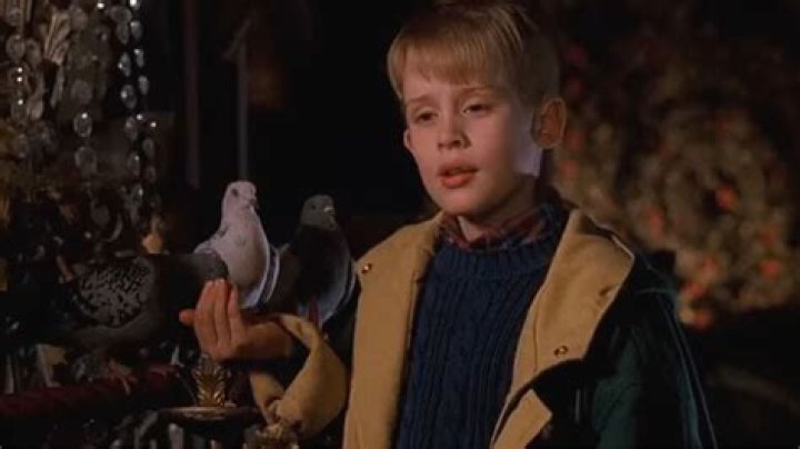 Fan theory refits ‘Home Alone’ for ‘Harry Potter’ universe