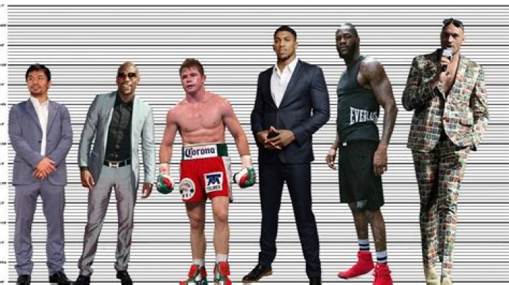 Floyd Mayweather Jr. Body Measurements Height Weight Shoe Size Age Stats
