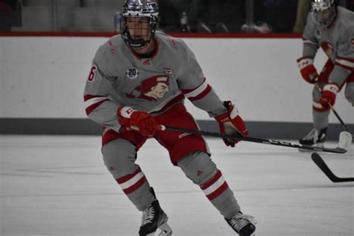 GoFundMe; Anna Buhrmann Dies in Skiing Accident: Sacred Heart University Hockey player