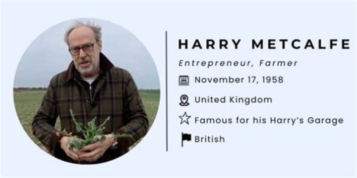 Harry Metcalfe Income, Net Worth, Salary, Earnings Updated