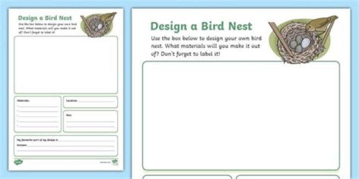 How does Enfys Nest work? – Celebrity