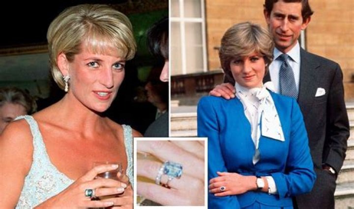 
How Much Money Does Princess Diana Make? Latest Income Salary

