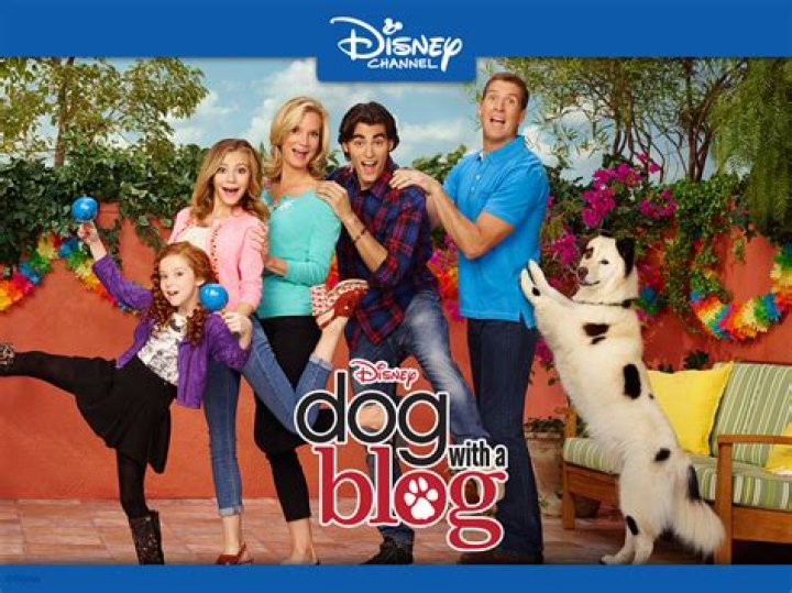 How old is Avery in Dog With a Blog season1? – Celebrity