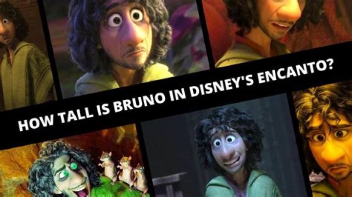 How Tall Is Bruno Madrigal? – Celebrity