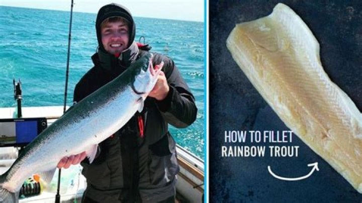 How to clean rainbow trout