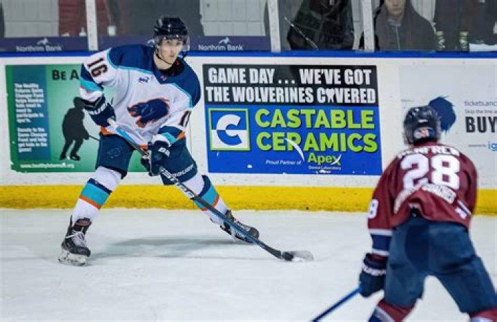 Is Mystery, Alaska hockey true story? – Celebrity