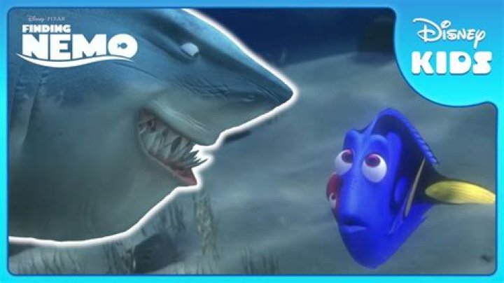 Is there a whale shark in Finding Nemo? – Celebrity