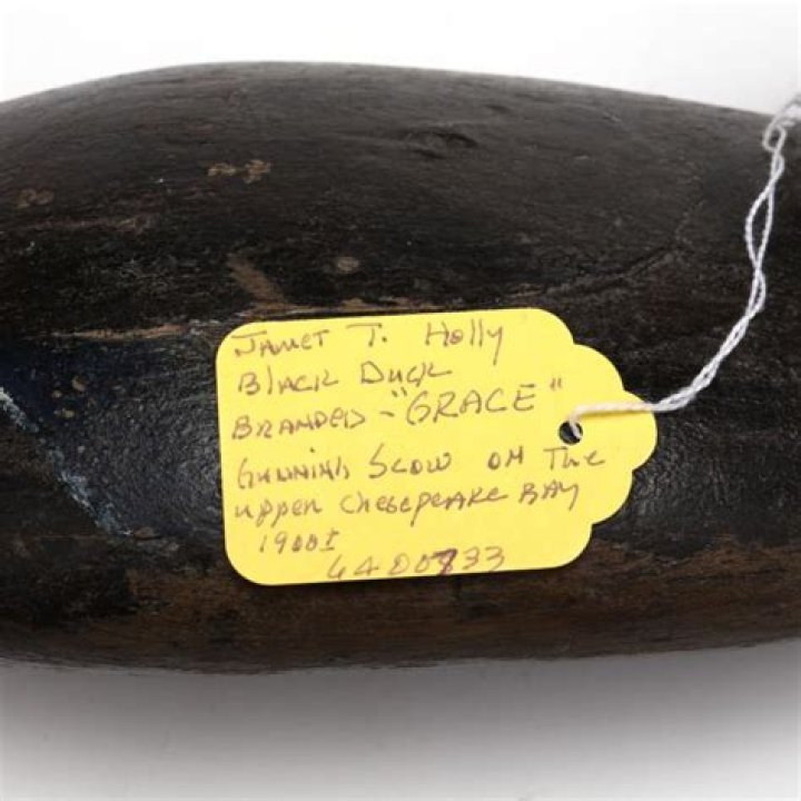 Dr. James Holly, MD – Beaumont, TX