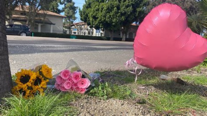 Janelle Chamness Obituary and Funeral, Playful Pioneers Preschool founder