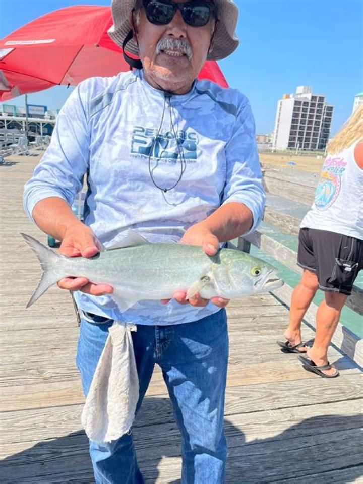 Jason Panek – Charlottesville, VA