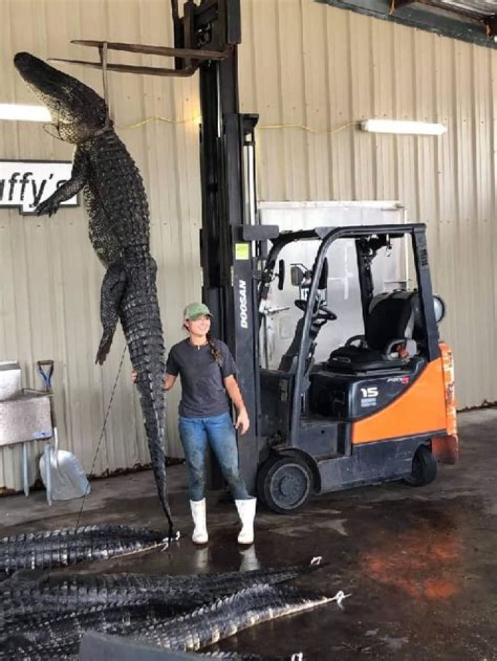 
Joshua K. Willis Height, Weight, Net Worth, Age, Birthday, Wikipedia, Who, Instagram, Biography 