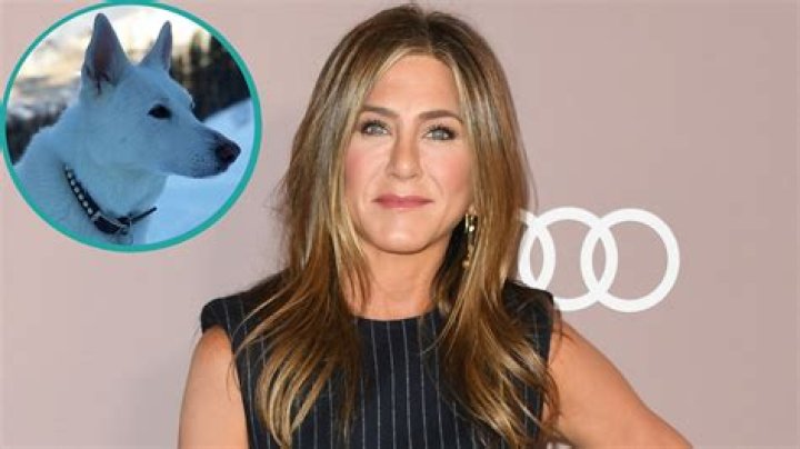 Justin Theroux And Jennifer Aniston Say Farewell To Beloved Rescue Dog Dolly