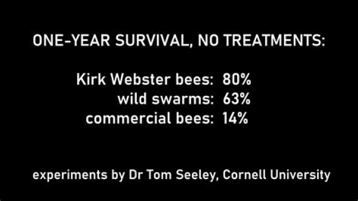 Dr. Kirk Webster, MD – Baton Rouge, LA