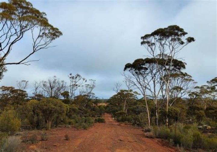 Maria Johnston – Tucson, AZ