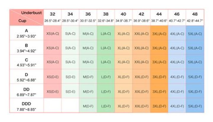 Nasim Pedrad Bra Size, Age, Weight, Height, Measurements
