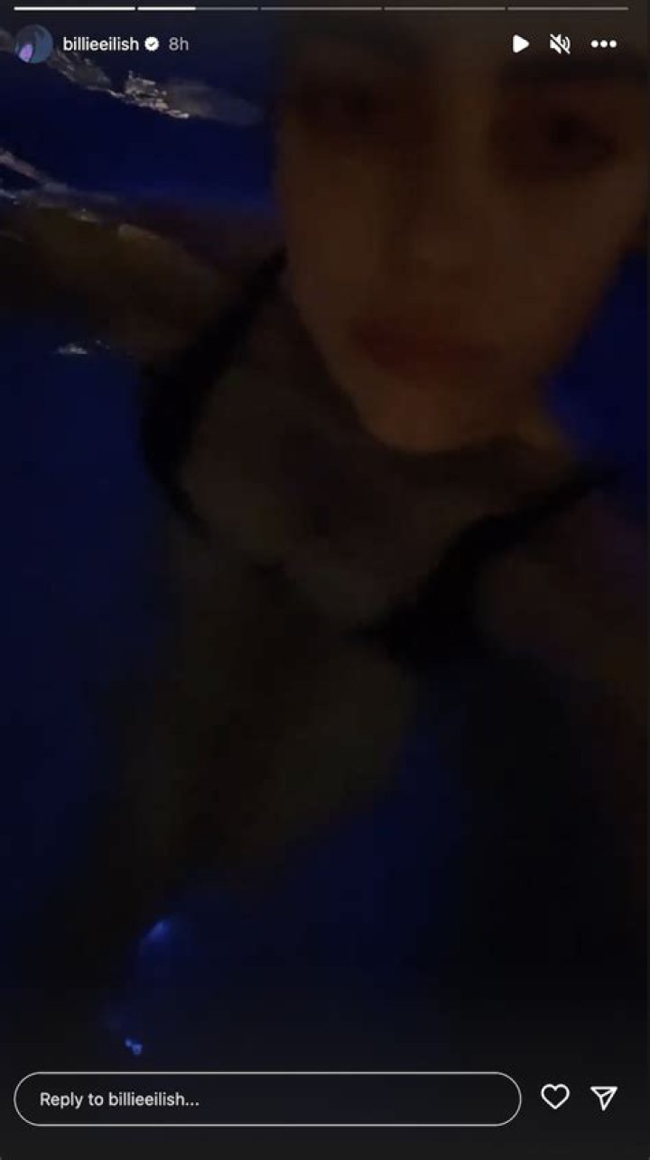 Billie Eilish in Bathing Suit Shares a Swimming Selfie — Celebwell