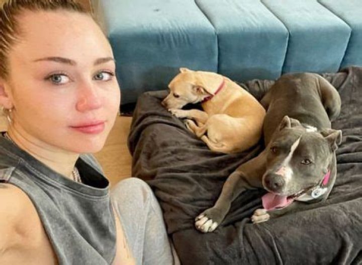 10 Stars and Their Beloved Furry Friends — Celebwell