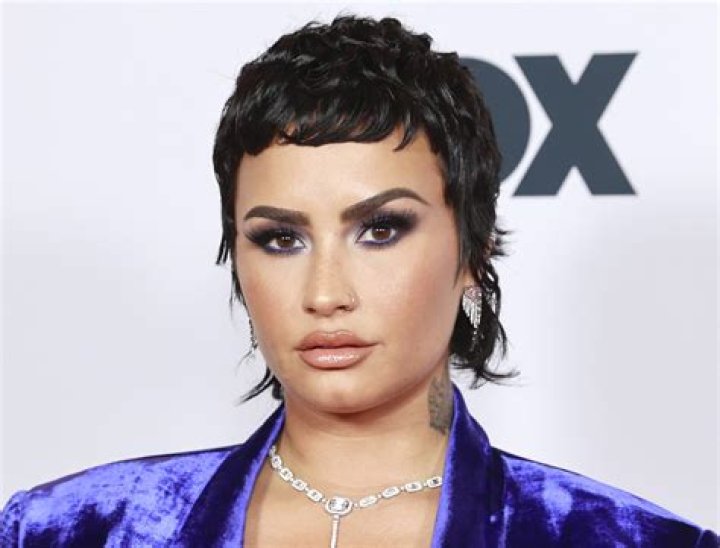 Demi Lovato in Bathing Suit Enjoys "SUNday" — Celebwell