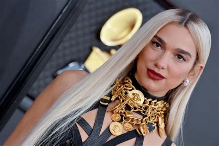 Dua Lipa in Bathing Suit Takes "Pre-Show River Dip" — Celebwell