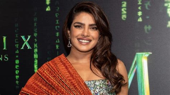 Priyanka Chopra in Bathing Suit Celebrates New Year — Celebwell