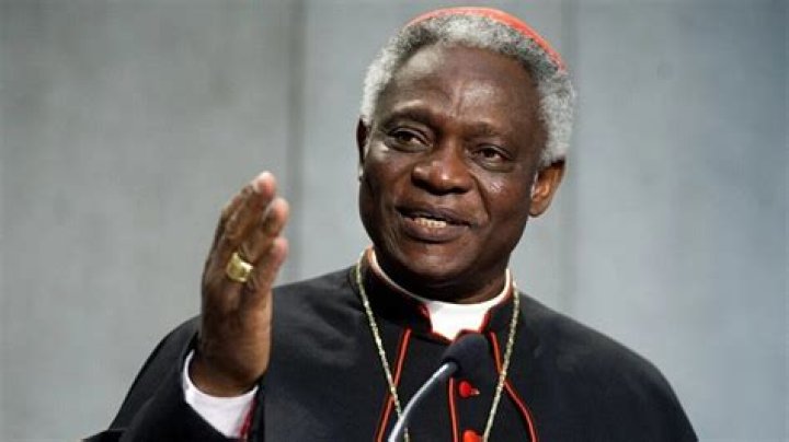 Peter Turkson Biography - Childhood, Life Achievements & Timeline