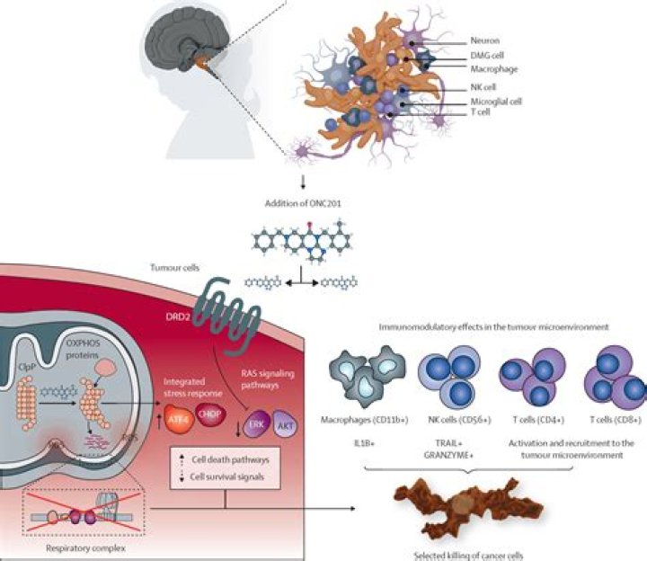 Dr. Steven Hall, MD – Pigeon Forge, TN