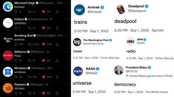 The Oscars are tweeting about Mia Goth, so we hope this means what we think it does