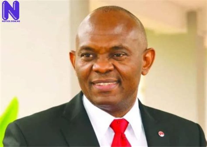 Tony Elumelu Biography: Who Is the Nigerian Economist and Where is He From?