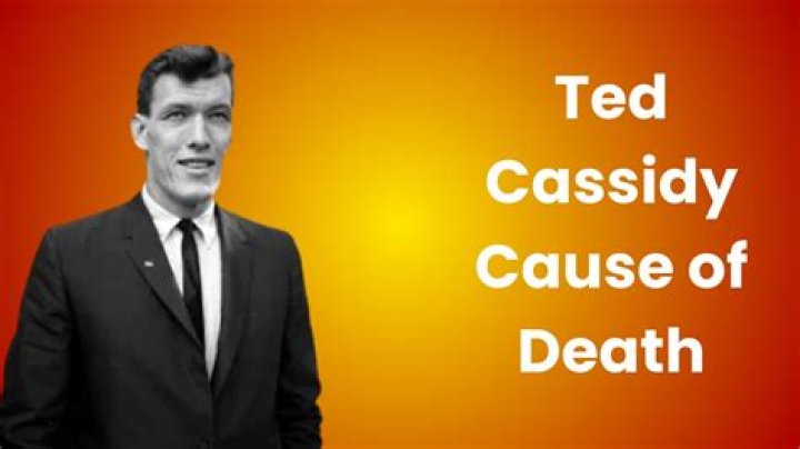 Ty Weaver died in Skyway Bridge accident, 3 Daughters Brewer Owner