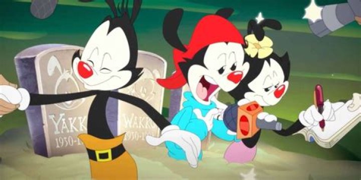 What Animals Are Yakko Wakko And Dot? – Celebrity