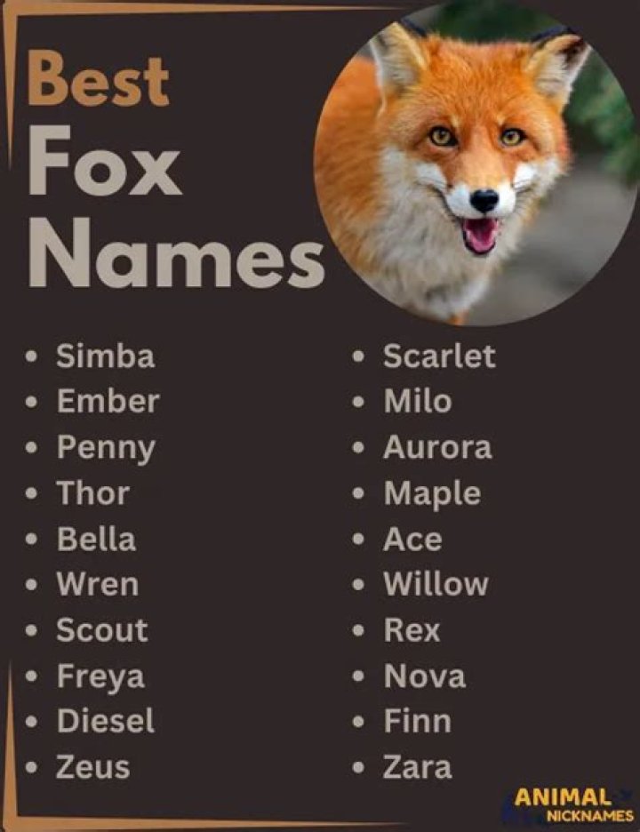 What are some fox names? – Celebrity
