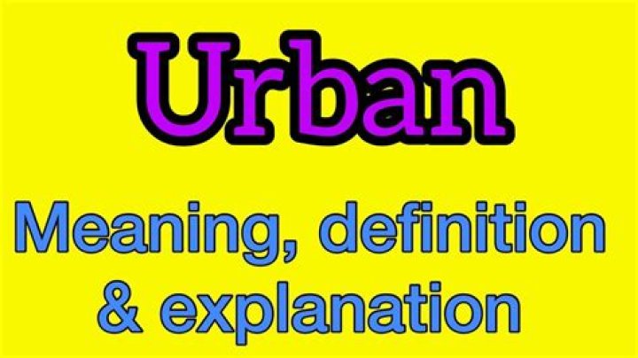 What Does Wap Mean Urban Dictionary? – Celebrity