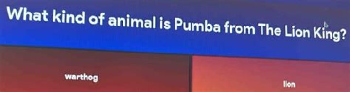 What kind of animal is Pumba? – Celebrity
