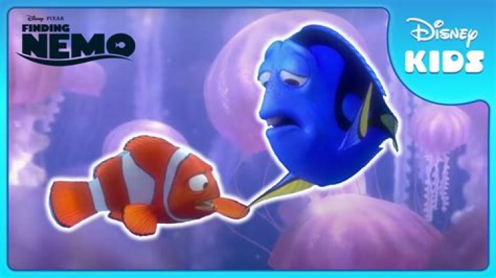 What’s the niece’s name on Finding Nemo? – Celebrity