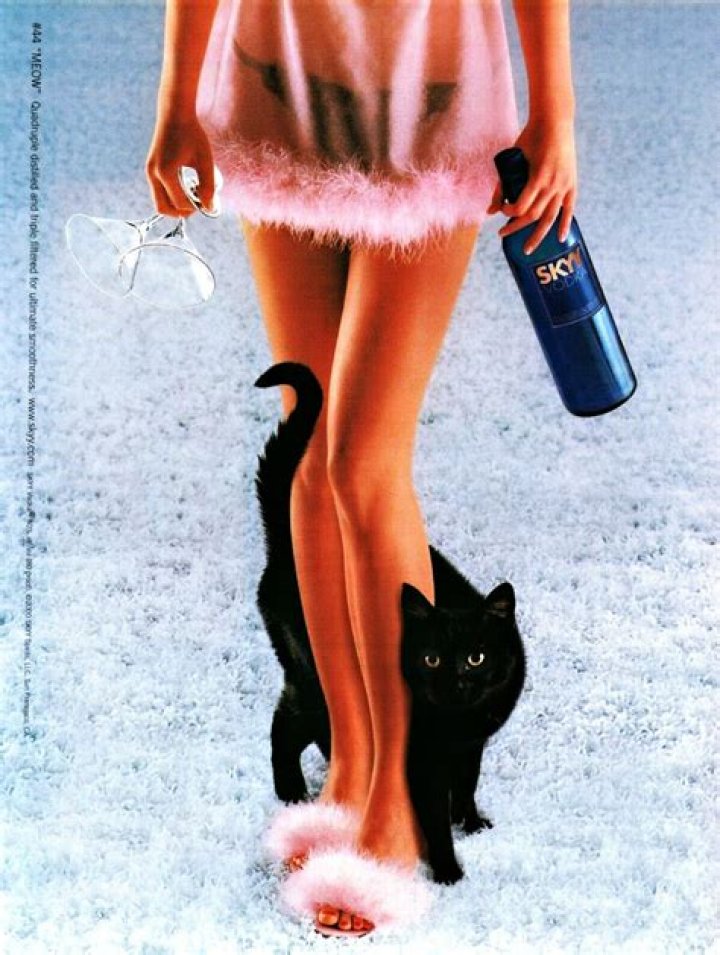 Who Fed Her Cat Vodka? – Celebrity