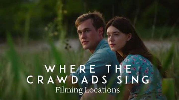 Who Is Dane Rhodes? Meet The Cast Of Where the Crawdads Sing