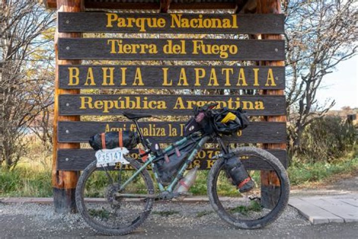 Who Was Iohan Gueorguiev? Death Cause Explored