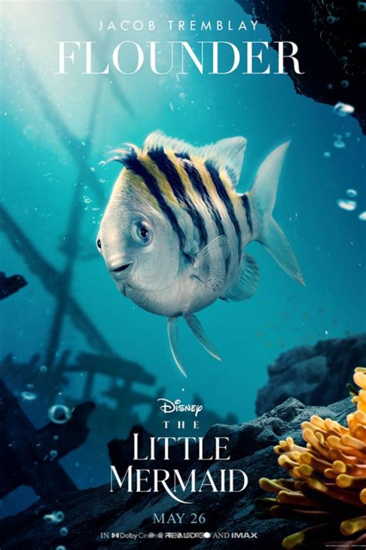 Why does flounder from The Little Mermaid not look like a flounder? – Celebrity