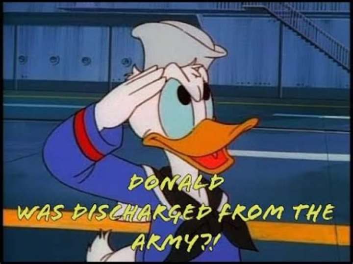 Why is Donald Duck always mad? – Celebrity
